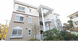 キャムグレース 302