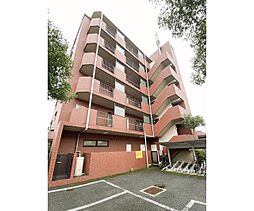 ジュネス北国分 502