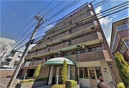 ラ・プリマヴェーラ 505