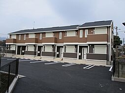 エヴァーグリーン光林 101