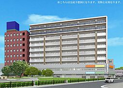 ステラテラス 305