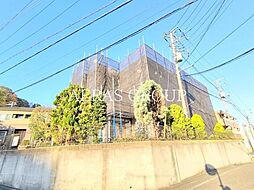 セレニーテ
