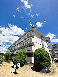 堺市東区北野田