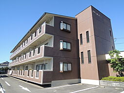 メゾンドワイズ 101