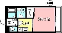 フワイエドII 302