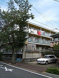 ロイヤルグレース