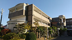 サンフォレスト泉 111