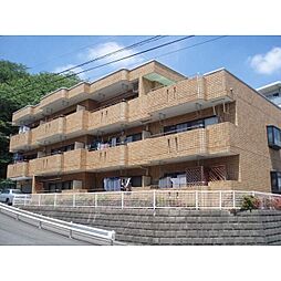 第3桜台ガーデン 205