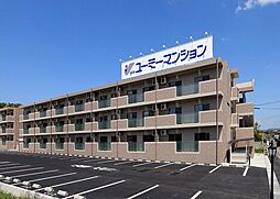 Ｙ＆Ｍ向日葵 103