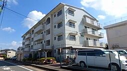 ディナスティ 206