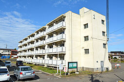 アシスト上越マンション　II 210