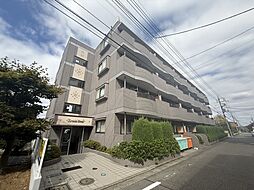 八王子市松木