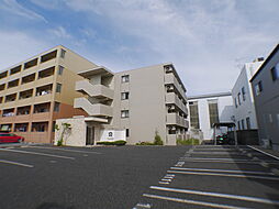 新潟市東区河渡新町１丁目