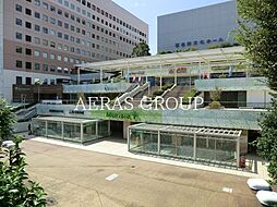 ダイワティアラ津田沼