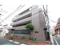 コスモフラワー 201