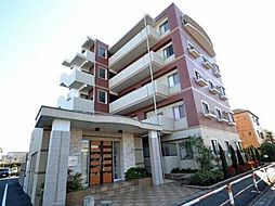 ルネ　シェスタ