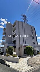 カンファ トゥリー