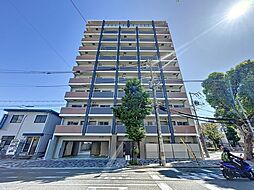 MJC神戸ブレイヴ 804