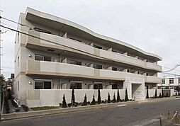 クーチャ　万願寺