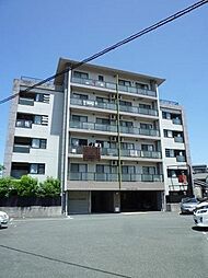 ハウスポンドビュー 305