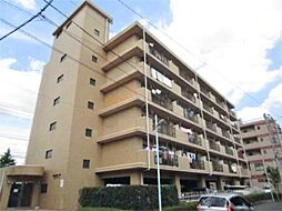 ＭＡＳＯＮ　ＤＥ　エトワール 503