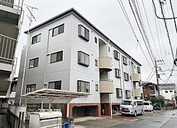 シェモア87 301