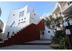 Ｐａｌｍ Ｌｏｕｎｇｅ