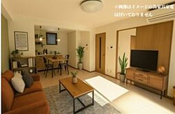 シークレフ 203