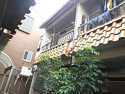 リリィテラス 1