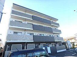 モナクマーシュ 305