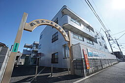 ハミエールキヨカメ 303