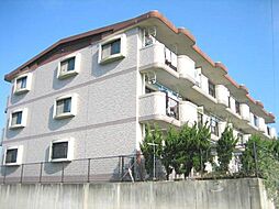 マイアネックス 101