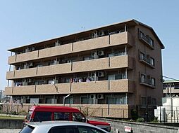 グランマレ.テルツォ 302