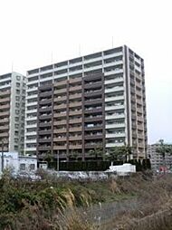 エバーライフパセオ博多南イーストコート 316