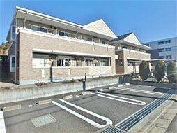 ストリーム16 203
