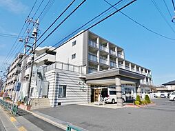 ウィステリア