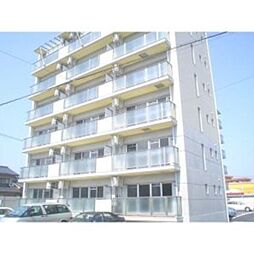 パストラーレ米長 505