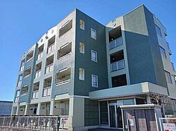 ファミリアノール 303