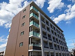 プラシード　栄