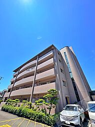 コスモス・ミソノ