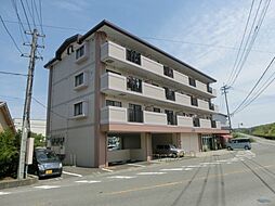 サンライズ天拝 202