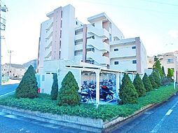 リココリーナ 508