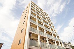 ケヤキ　グランデ