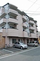 ハンリーラ円入 201
