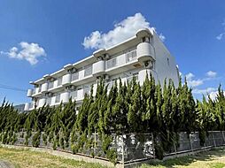 レジデンス石坂 405