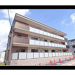 プルヌス　コリーヌ 302