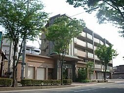 グレイス大城 403