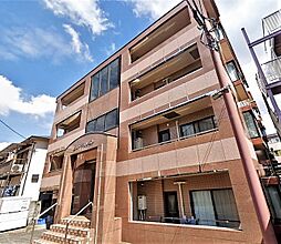 ニューフォレスト