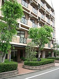 グレイス太宰府 509