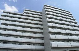 アレックス日乃本